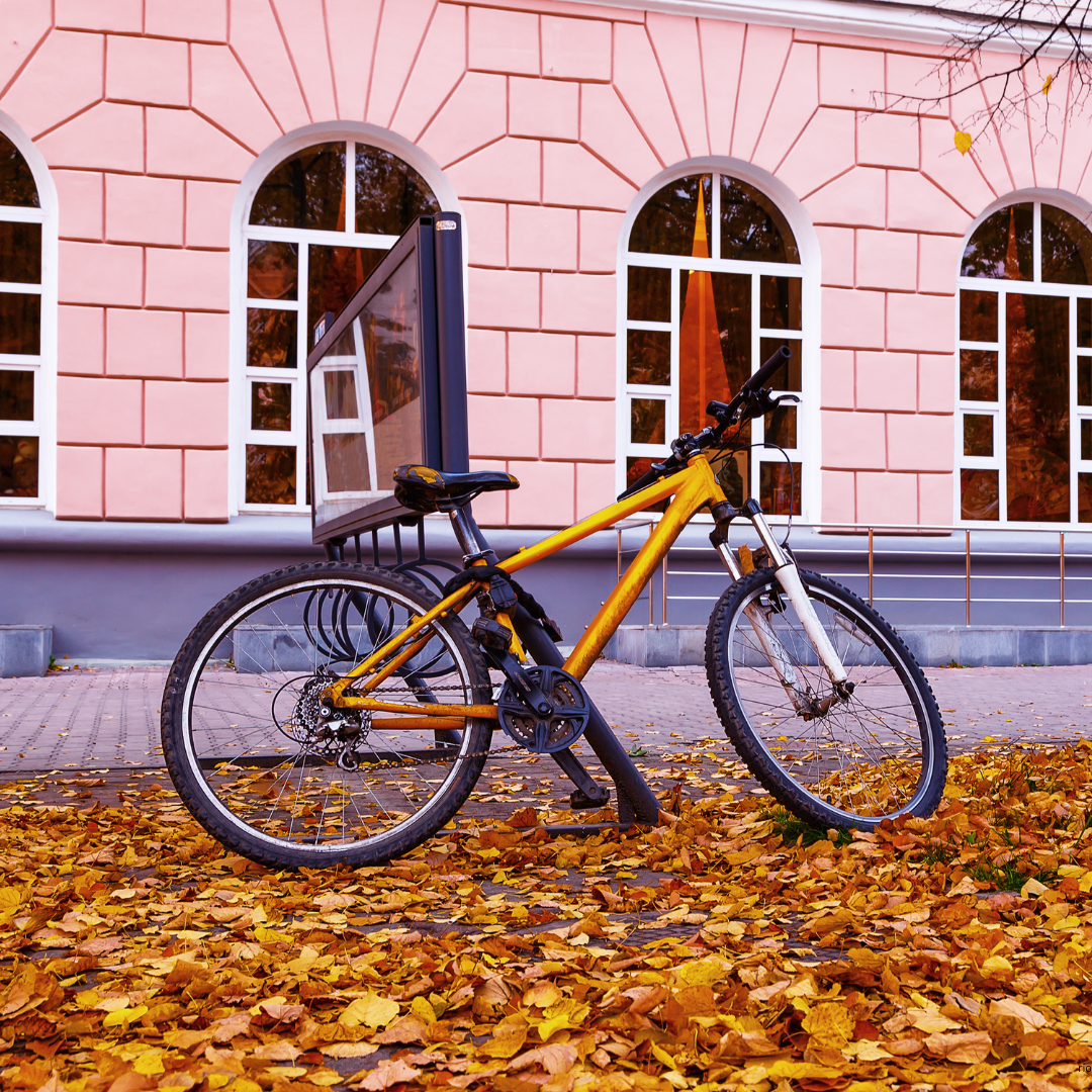 Reach International Outfitters