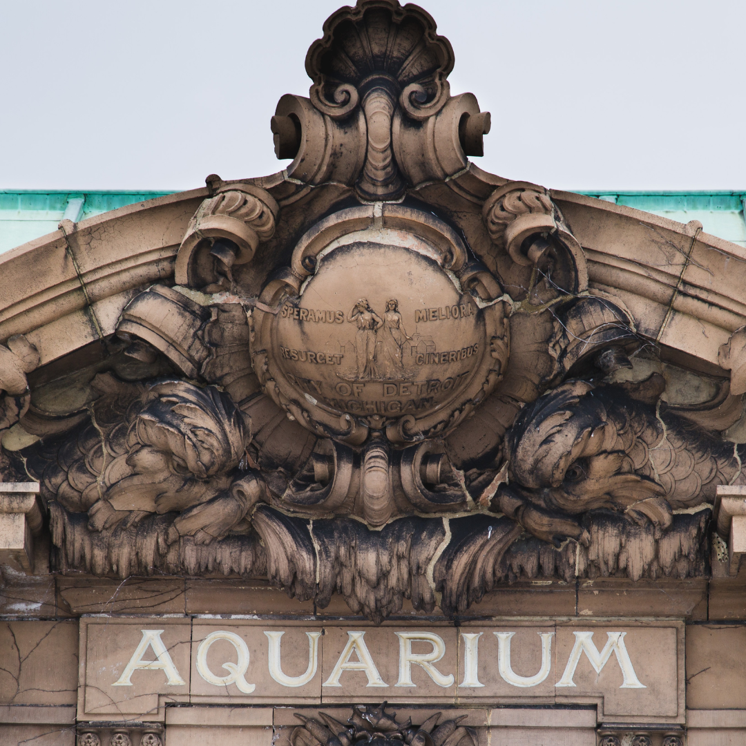 Reach International Outfitters