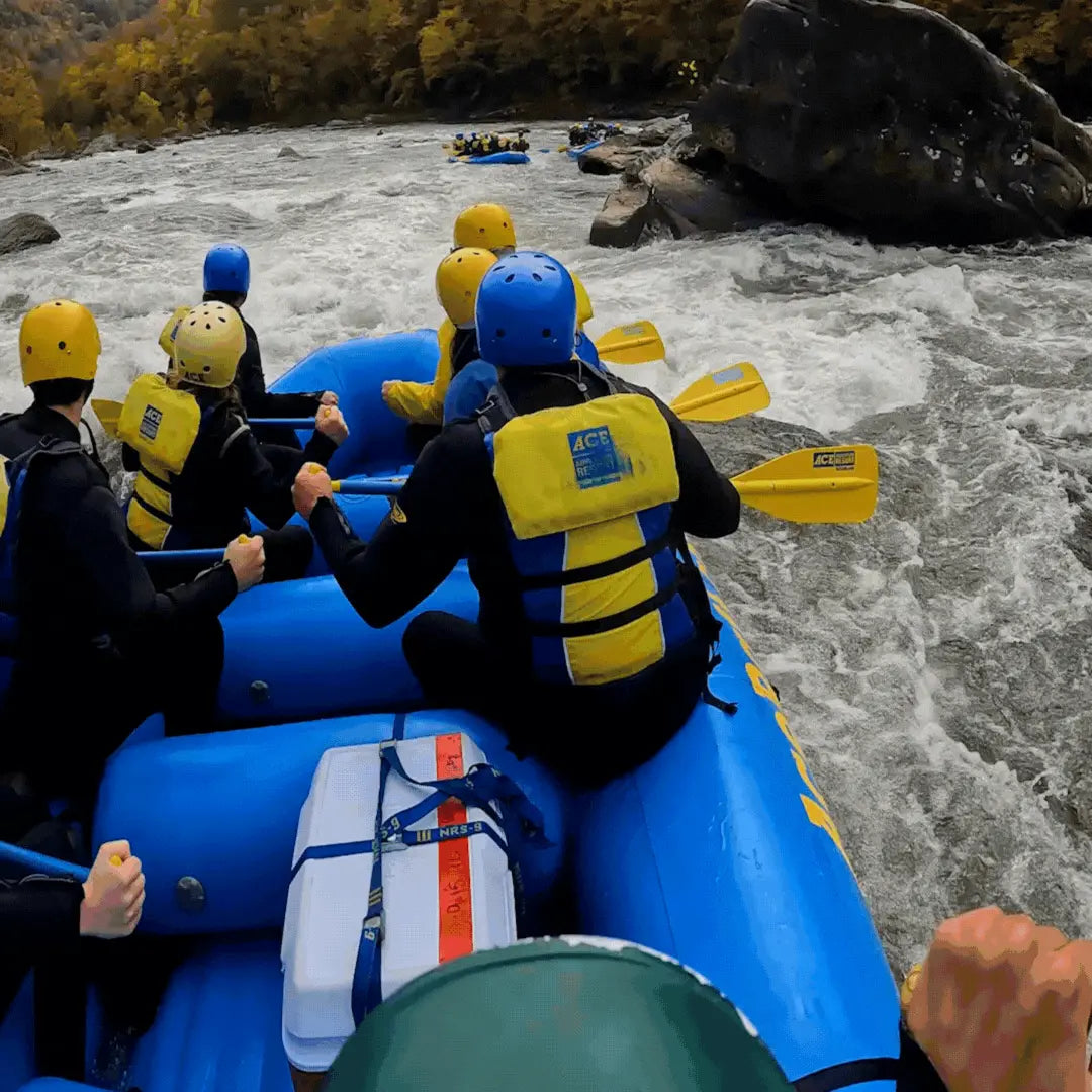 Reach International Outfitters