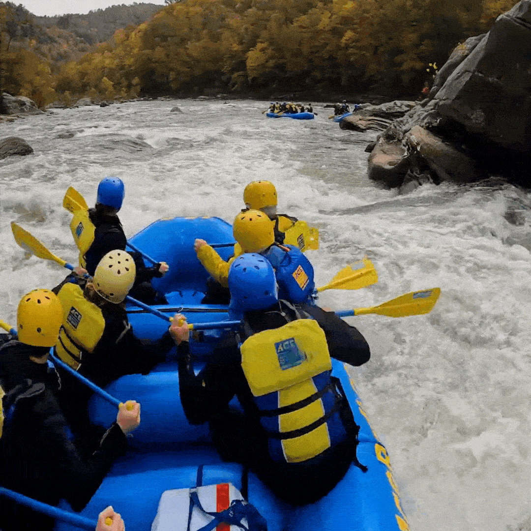 Reach International Outfitters