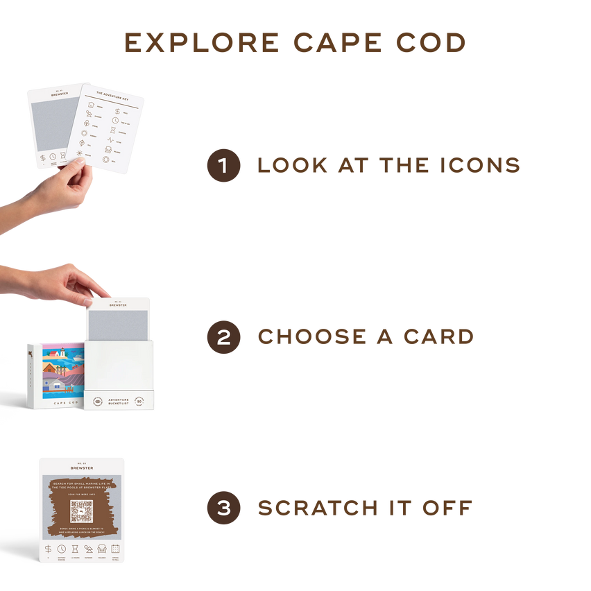 Cape Cod Adventure Bucket List - Reach International Outfitters
