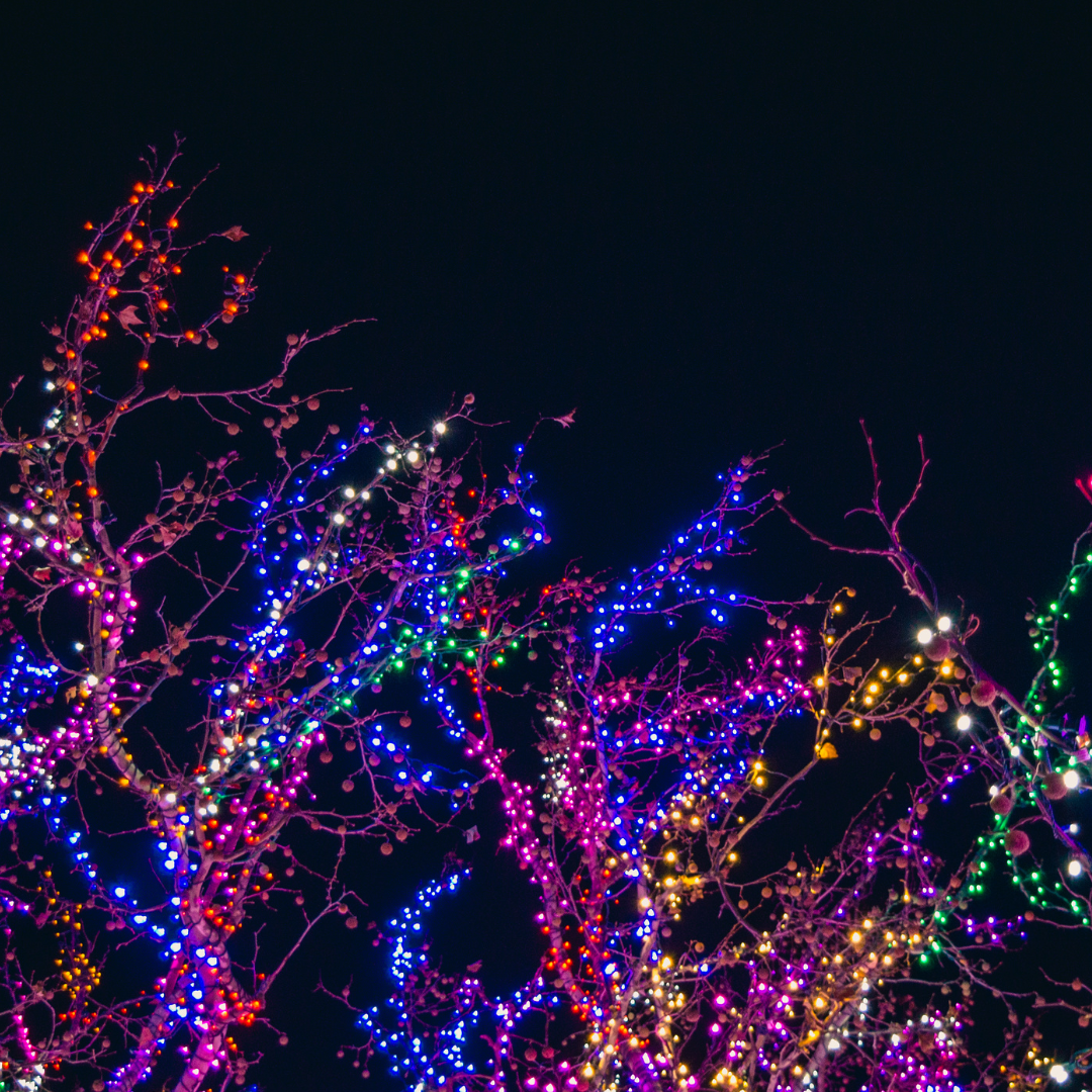 Reach International Outfitters