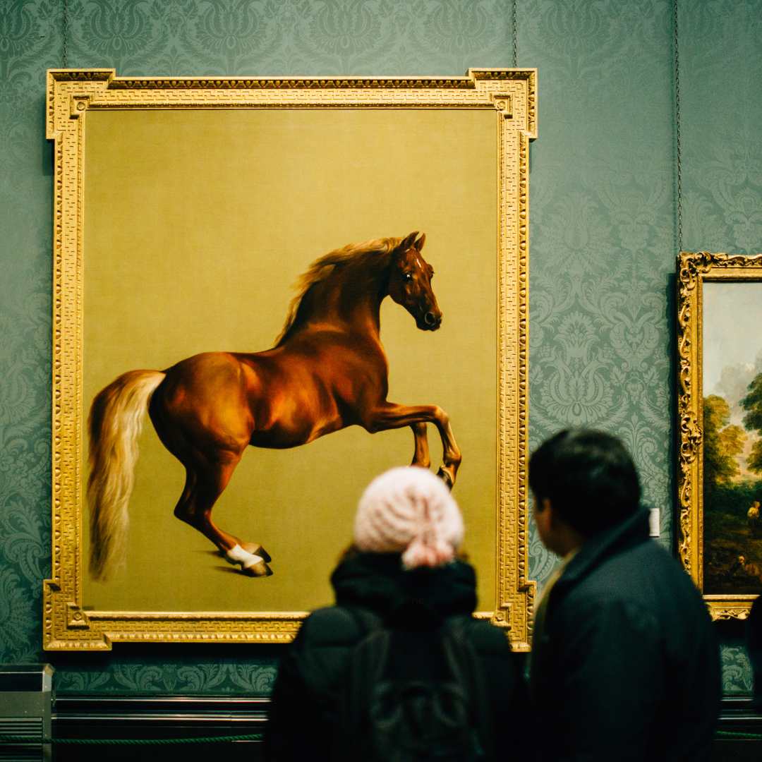 Reach International Outfitters