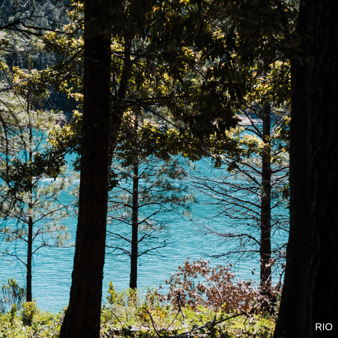 Reach International Outfitters