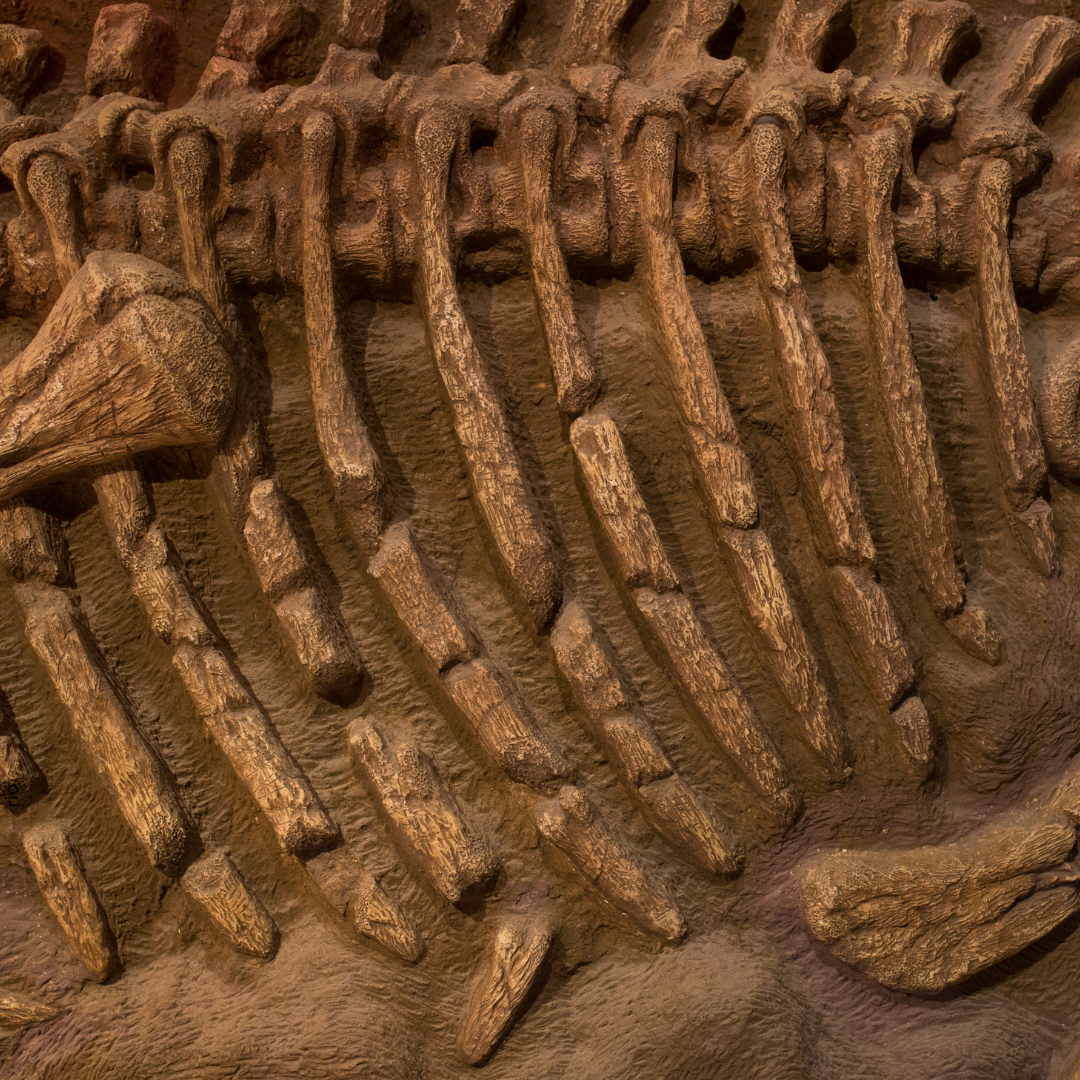 Reach International Outfitters