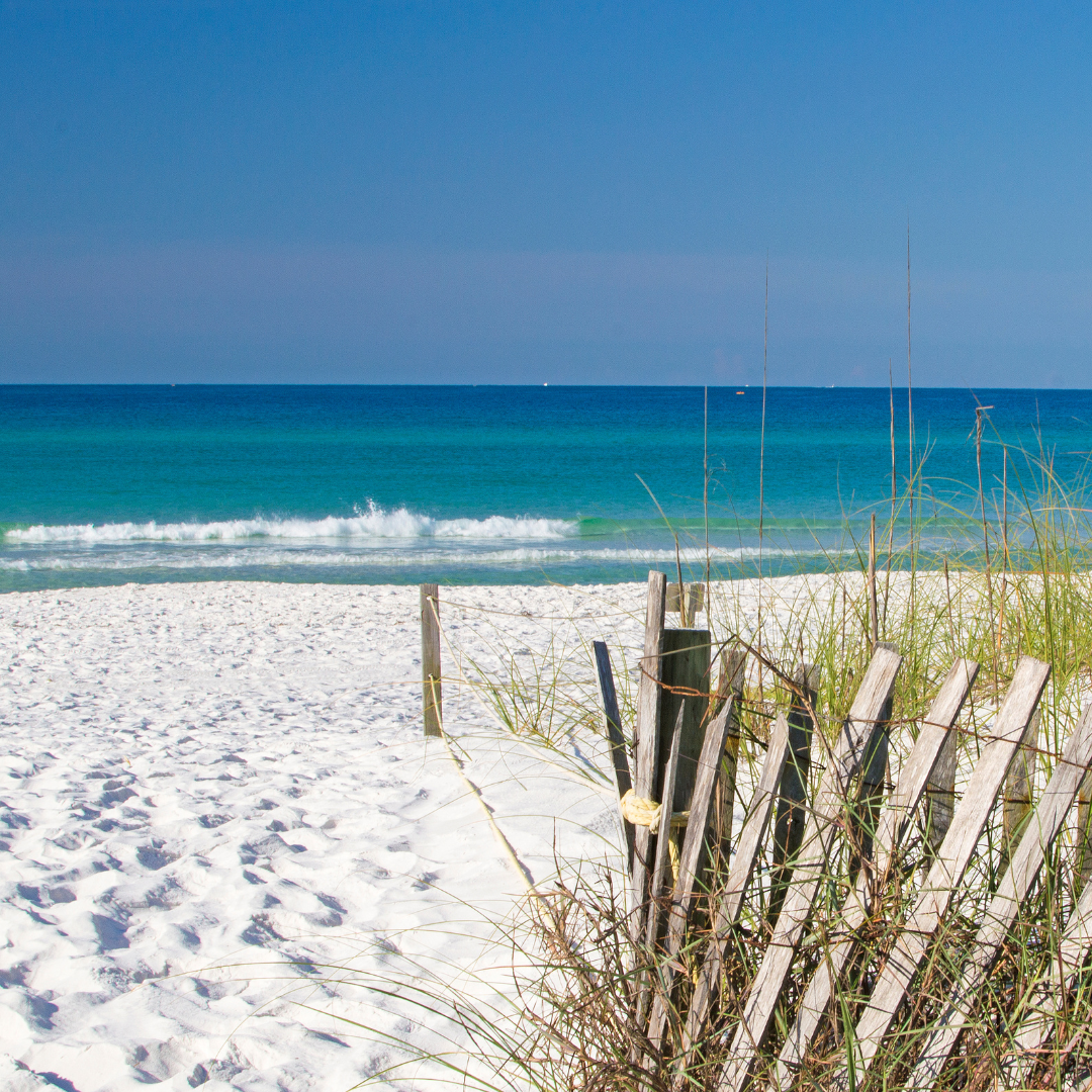 Reach International Outfitters