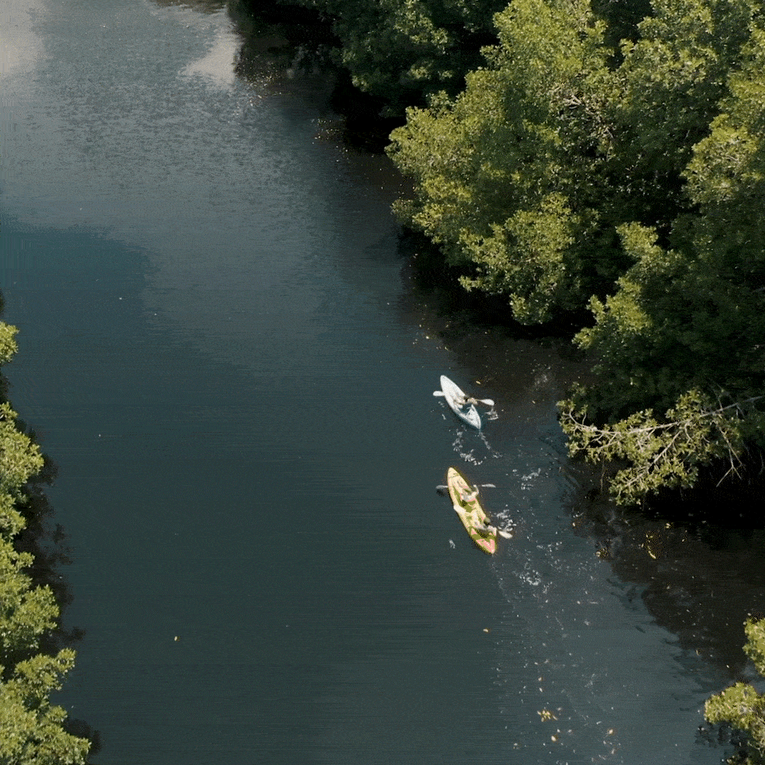 Reach International Outfitters