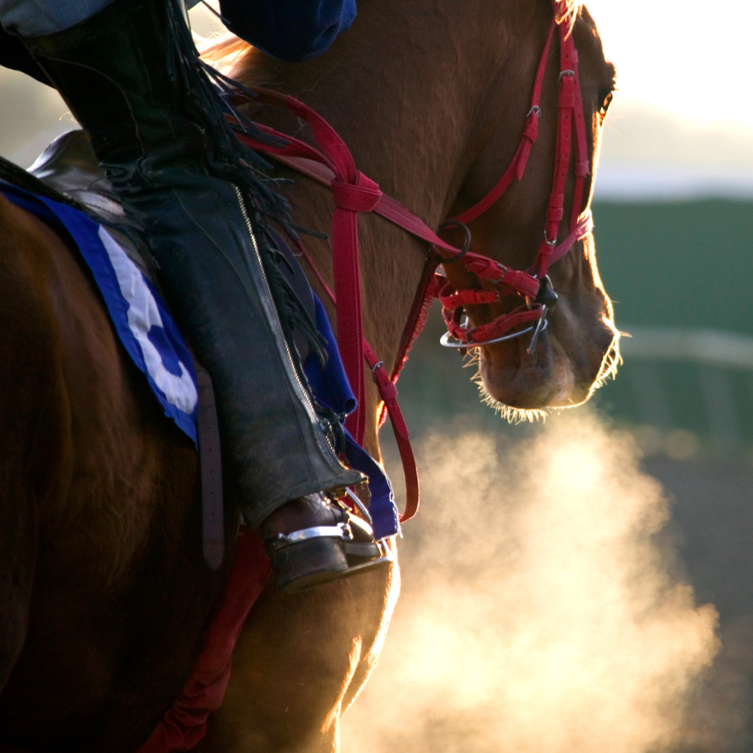 Reach International Outfitters