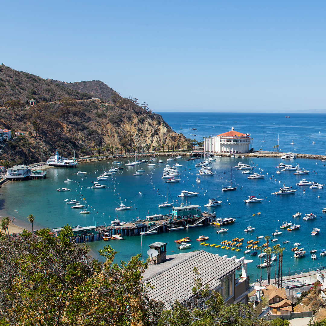 Reach International Outfitters