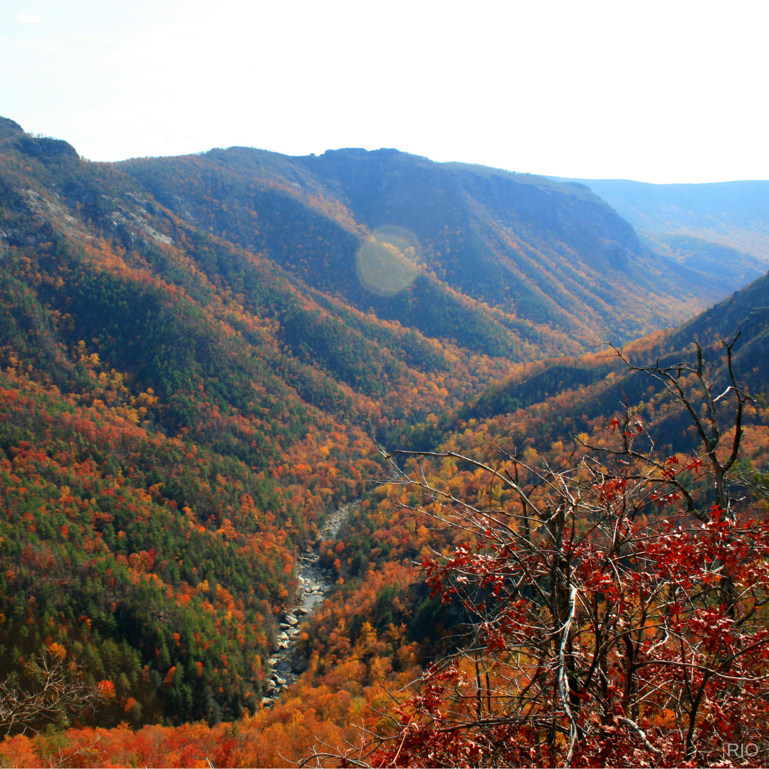 Reach International Outfitters