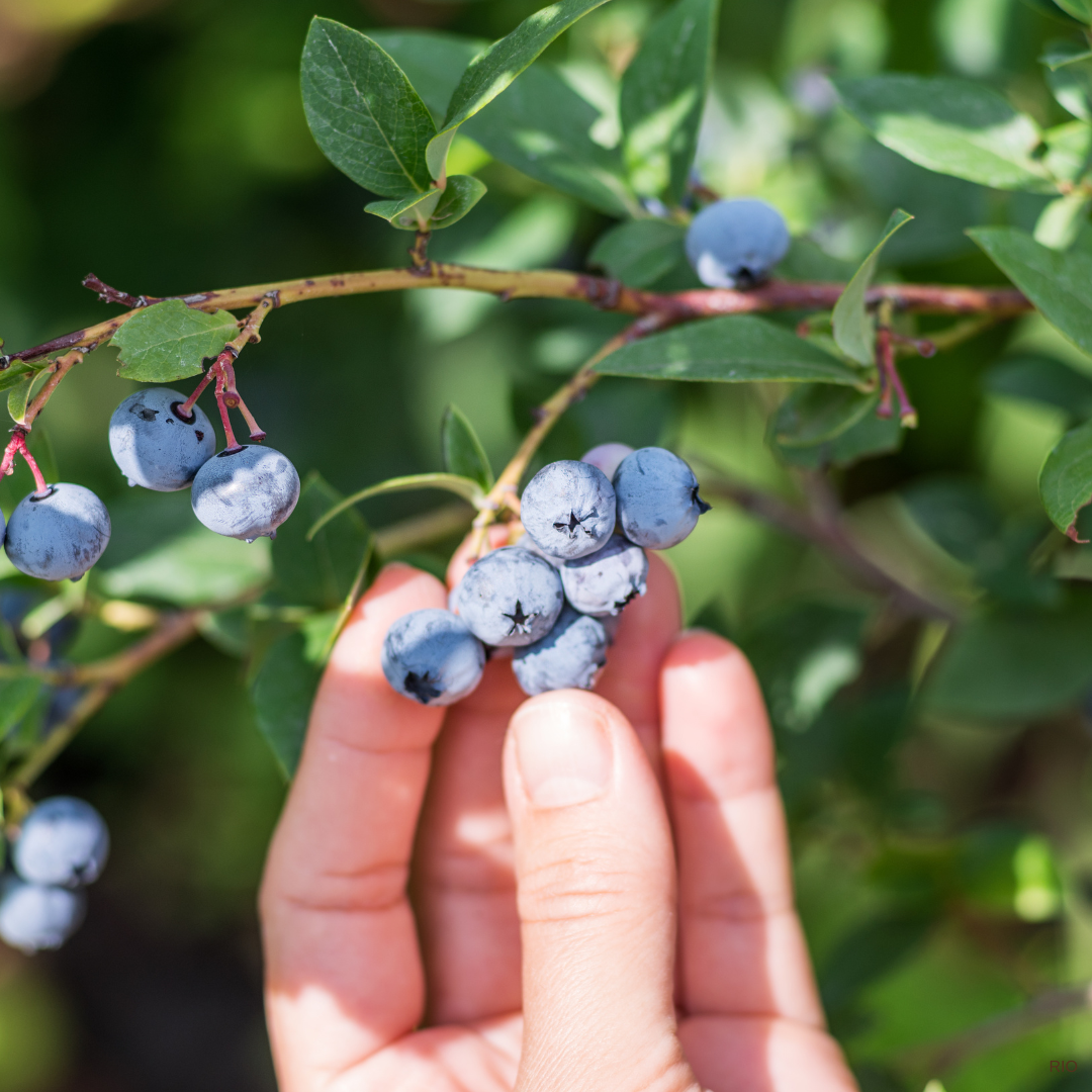 Reach International Outfitters