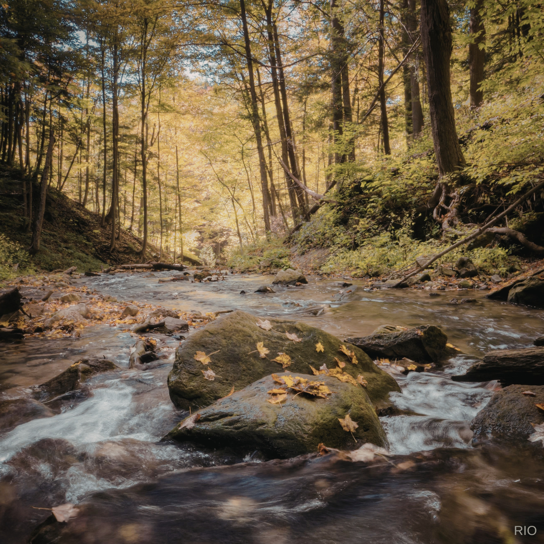 Reach International Outfitters