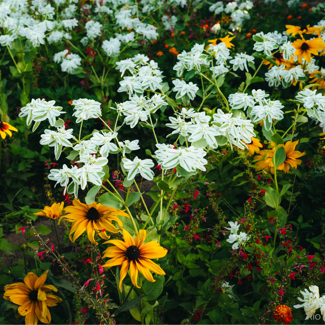 Reach International Outfitters