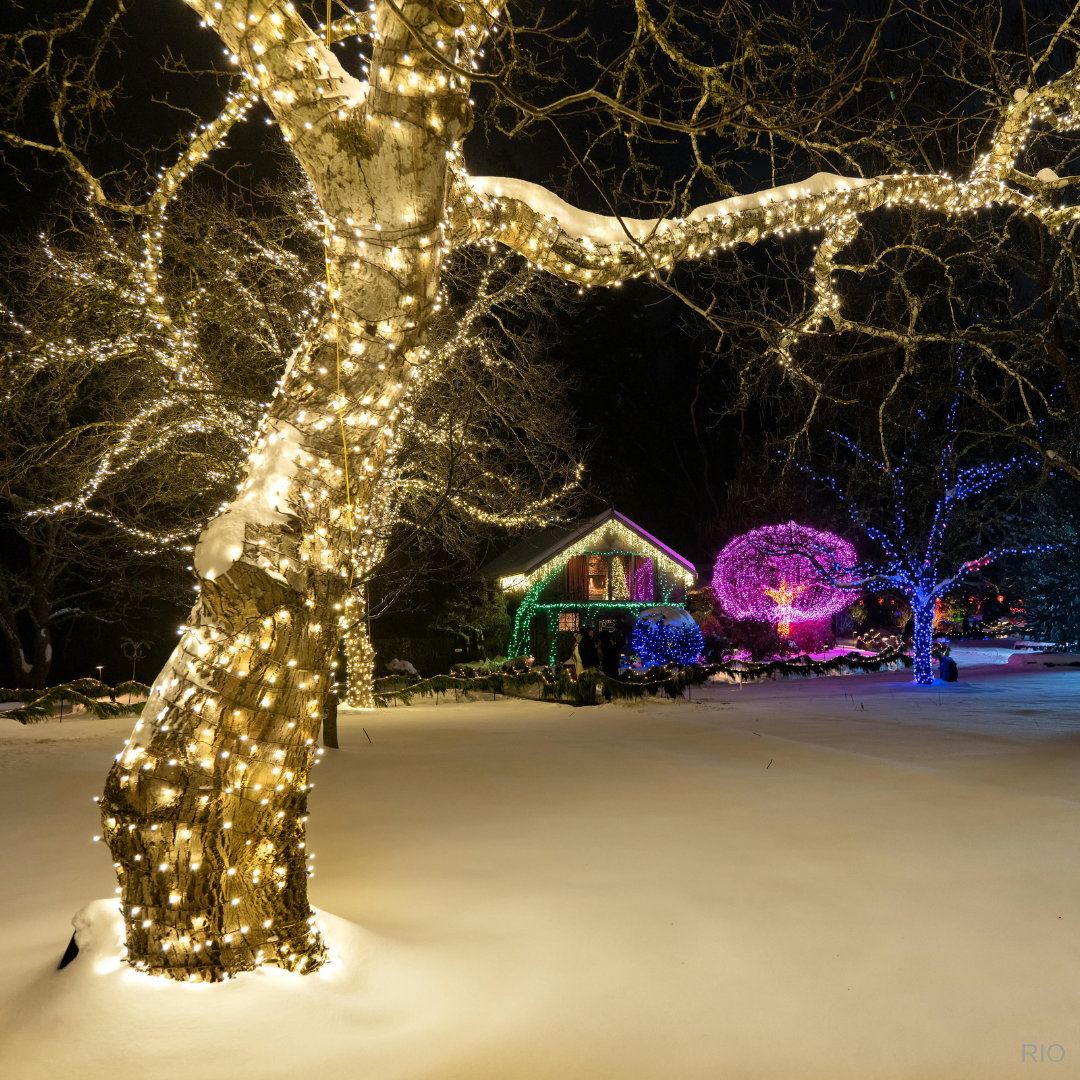 Reach International Outfitters