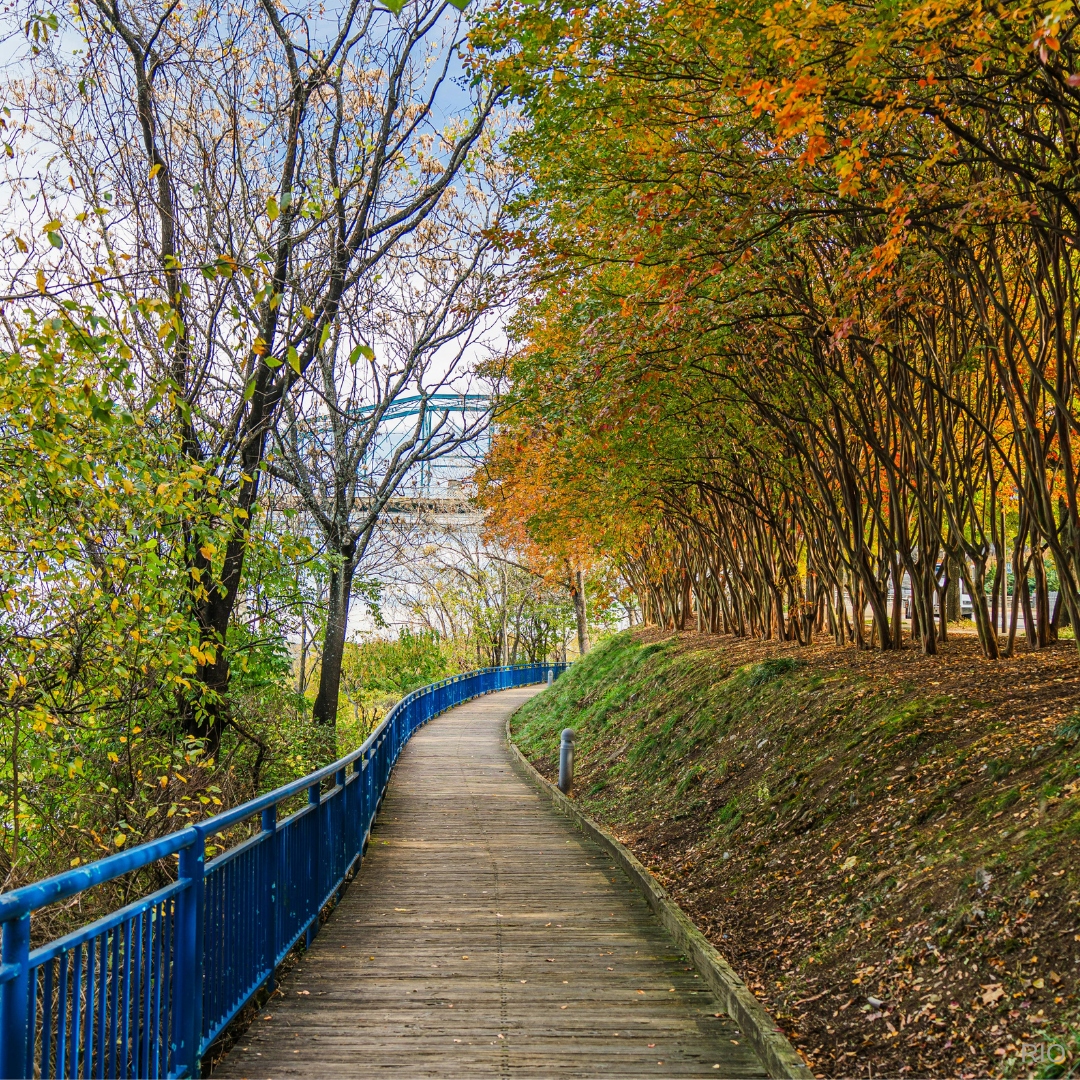 Reach International Outfitters