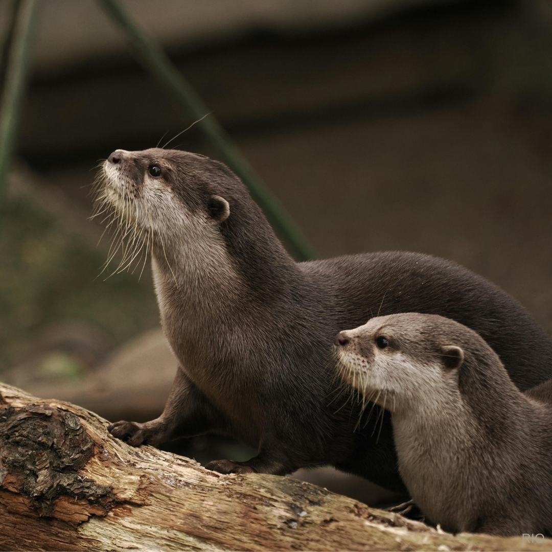 Reach International Outfitters