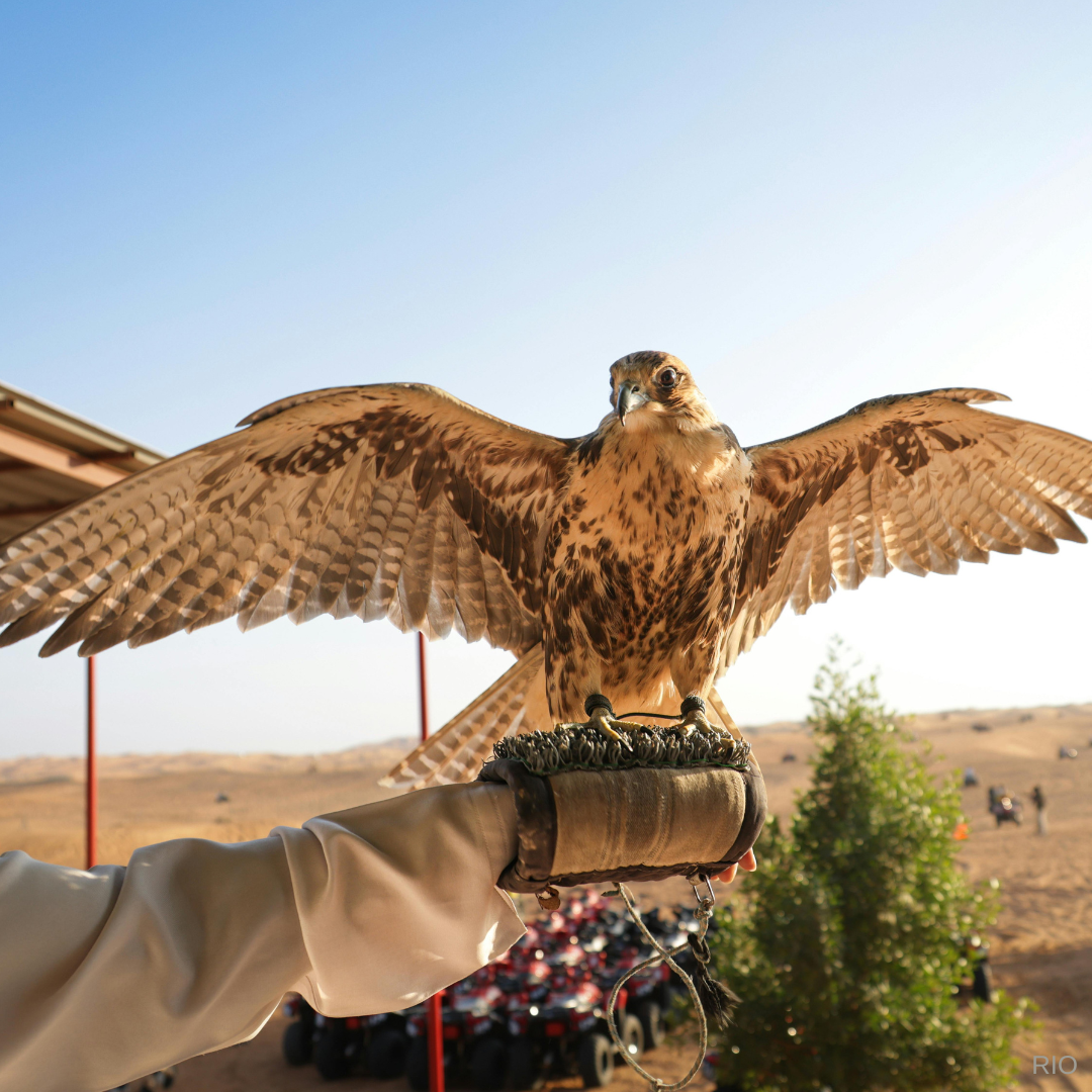 Reach International Outfitters