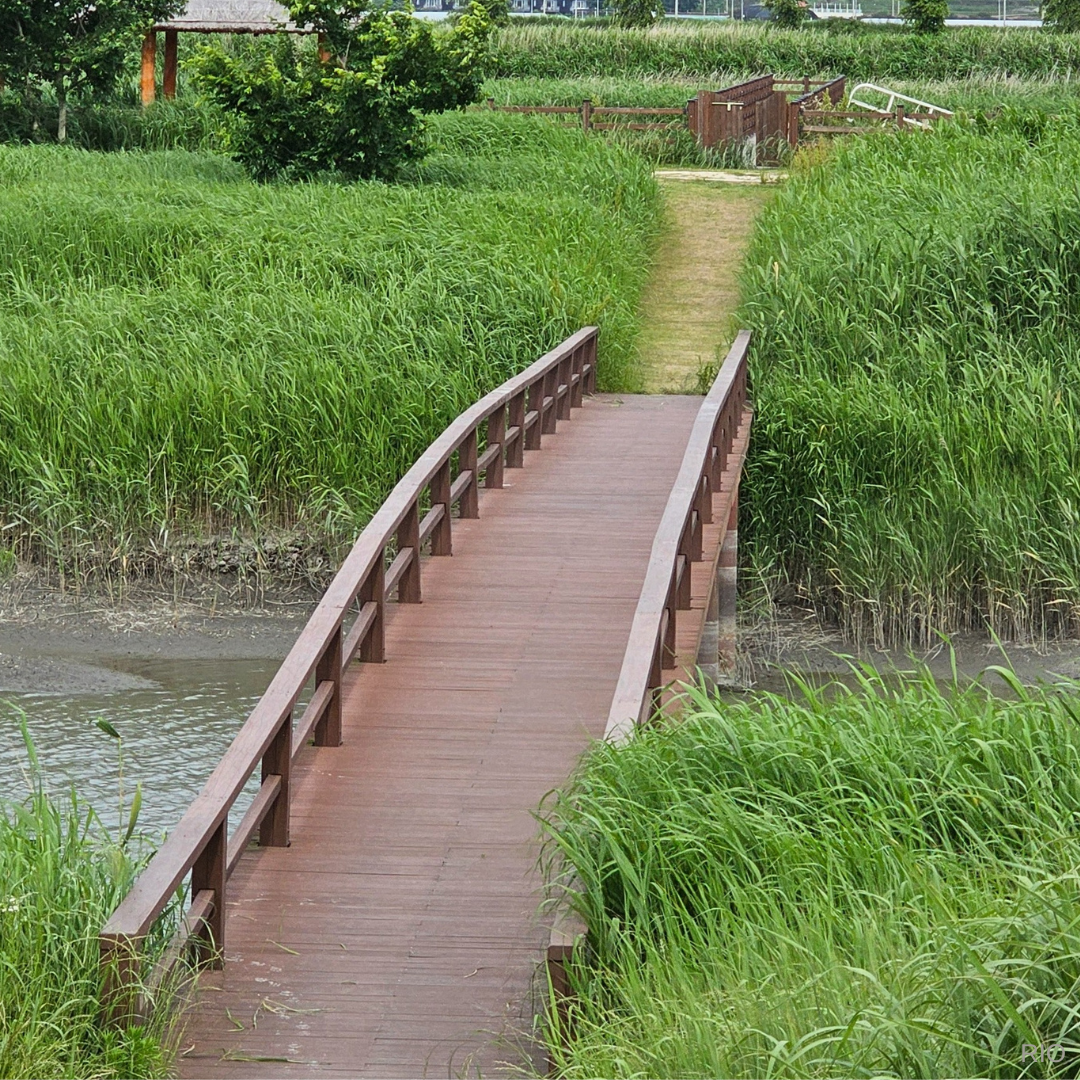 Reach International Outfitters