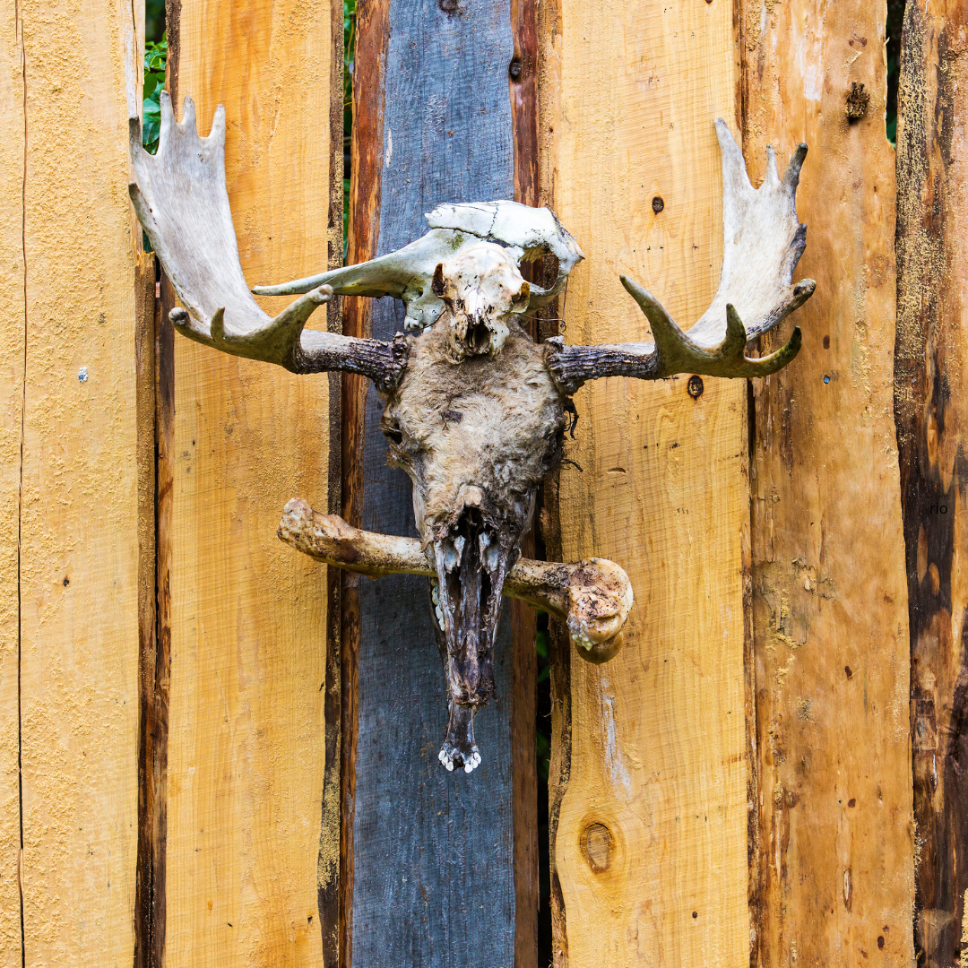 Reach International Outfitters